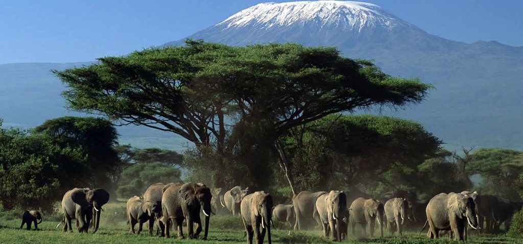 amboseli