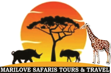Marilove Safaris Tours and Travel